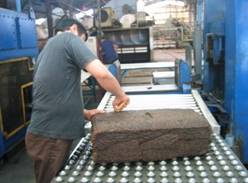 staff picking contaminants